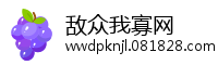 敌众我寡网